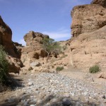 Touraco Travel Services - Desert & Coast Tour
