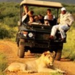 Touraco Tours - Madikwe Hills Private Game Lodge - game Drive