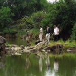 Touraco Tours - Madikwe River Lodge