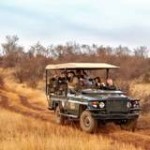 Touraco Tours - Jaci's Lodges - Big 5 Game Drive