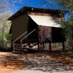 Touraco Tours - Mosetlha Bush Camp Madikwe