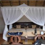 Touraco Tours - Tau Game Lodge