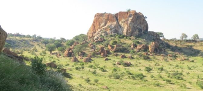 Mapungubwe National Park