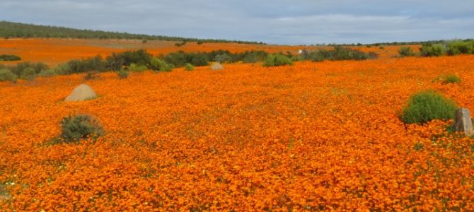 Nothern Cape Province