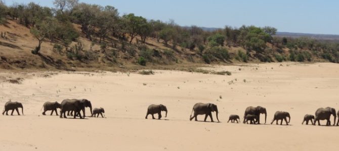 Kruger National Park