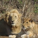 Kgalagadi National Park and Augrabies Waterfalls Safari with Touraco Travel Services - Pretoria, South Afriaa
